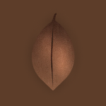 Commodities-COCOA.FUT-Cocoa